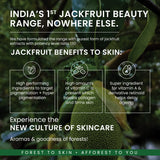 Jackfruit Bedtime Serum