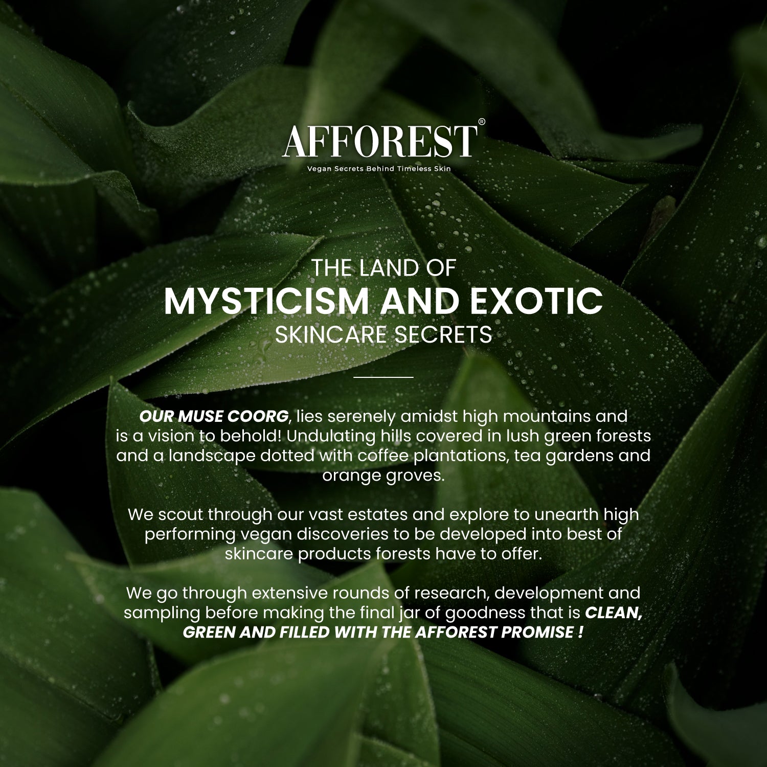 Green Coffee Toning Face Mist